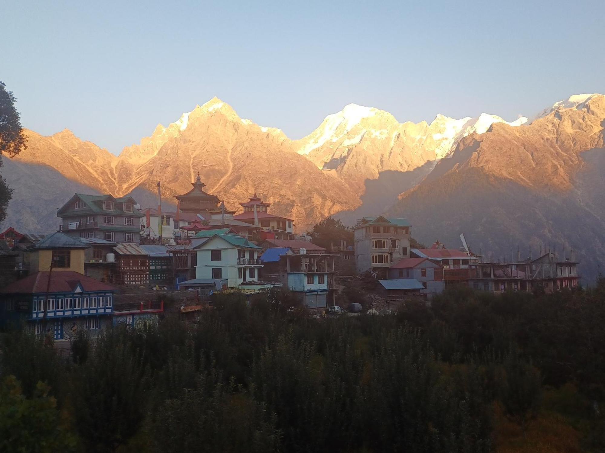 Pine View Retreat Homestay Kalpa Extérieur photo